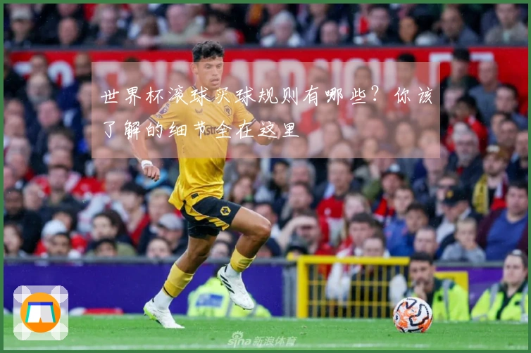 世界杯滚球买球规则有哪些？你该了解的细节全在这里