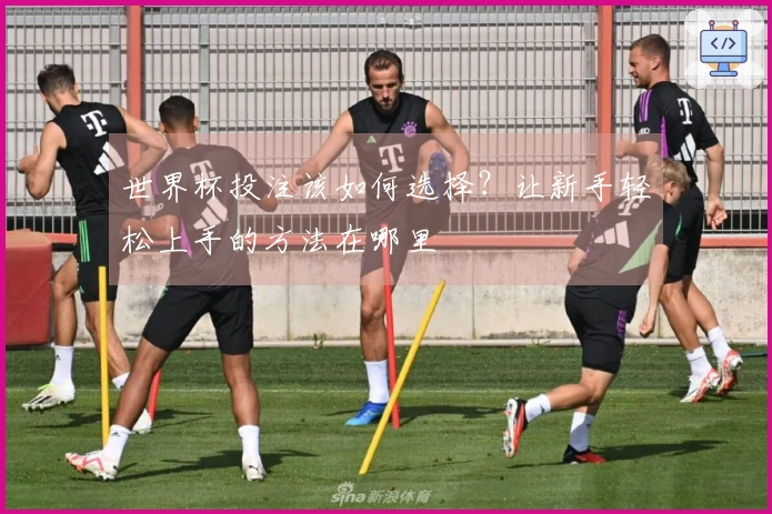 世界杯投注该如何选择？让新手轻松上手的方法在哪里