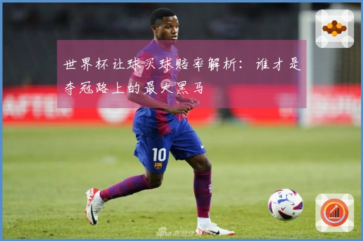世界杯让球买球赔率解析：谁才是夺冠路上的最大黑马