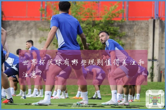 世界杯买球有哪些规则值得关注和注意？