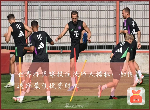世界杯买球投注技巧大揭秘，如何选择最佳投资时机