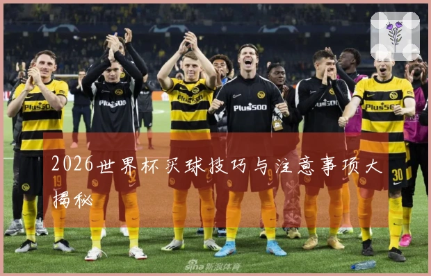 2026世界杯买球技巧与注意事项大揭秘