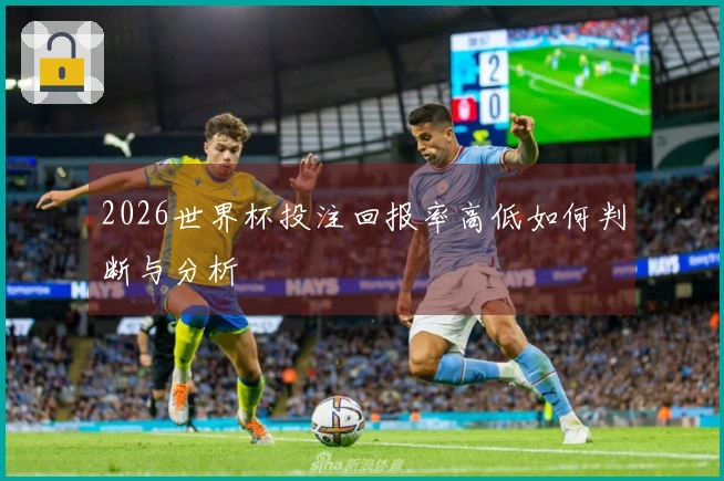 2026世界杯投注回报率高低如何判断与分析