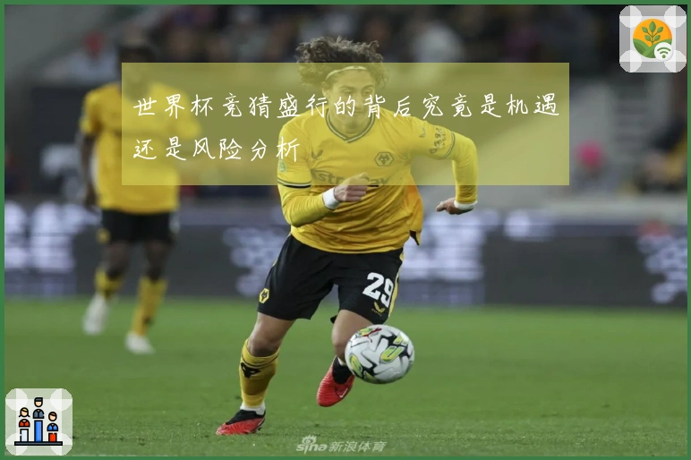 世界杯竞猜盛行的背后究竟是机遇还是风险分析