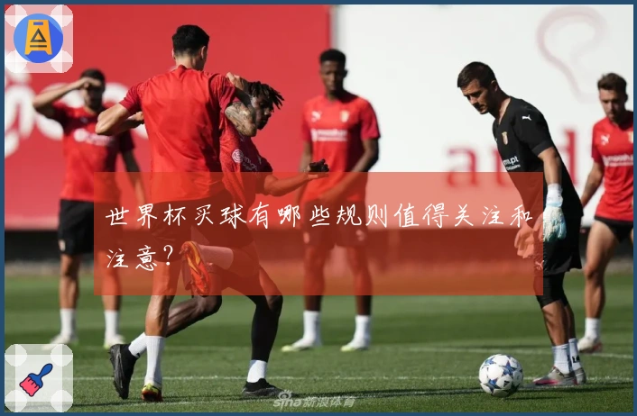 世界杯买球有哪些规则值得关注和注意？