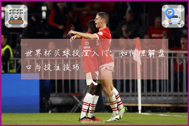 世界杯买球投注入门：如何理解盘口与投注技巧