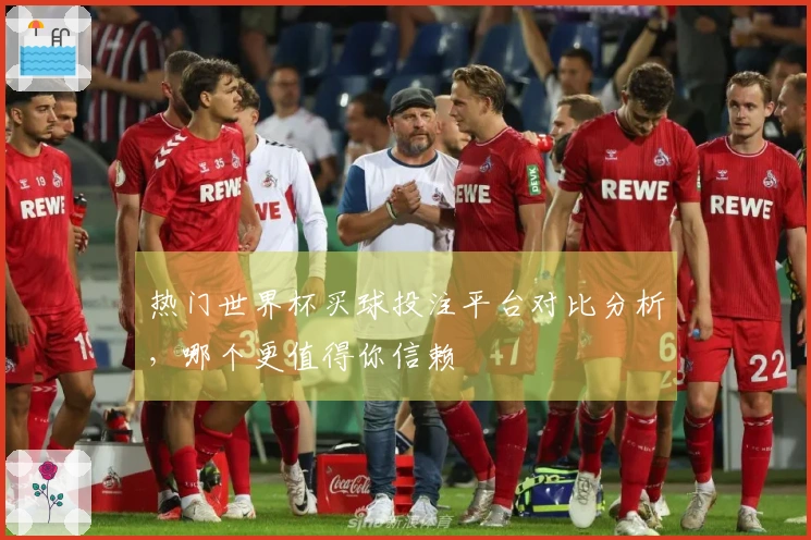 热门世界杯买球投注平台对比分析，哪个更值得你信赖