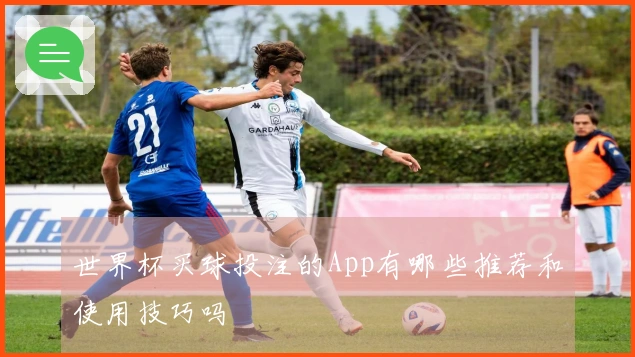 世界杯买球投注的App有哪些推荐和使用技巧吗