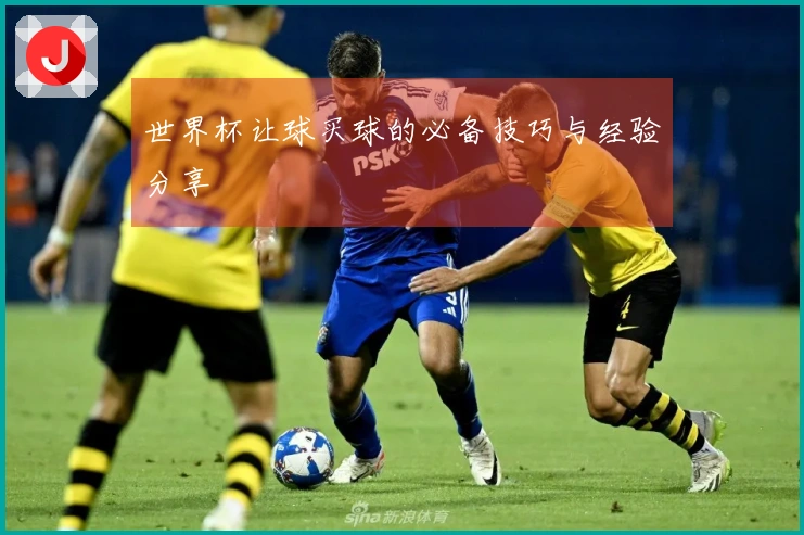 世界杯让球买球的必备技巧与经验分享