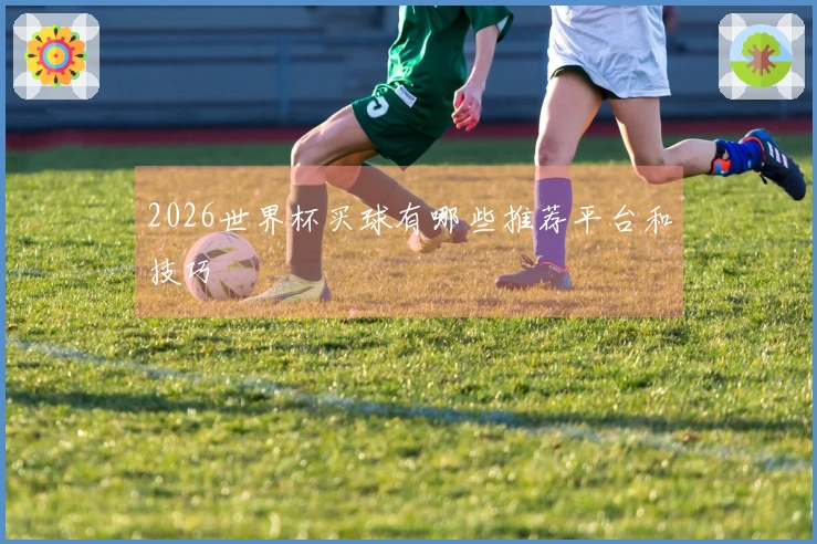 2026世界杯买球有哪些推荐平台和技巧