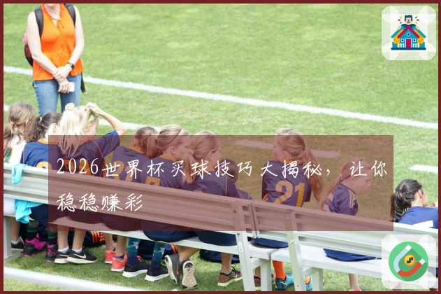 2026世界杯买球技巧大揭秘，让你稳稳赚彩