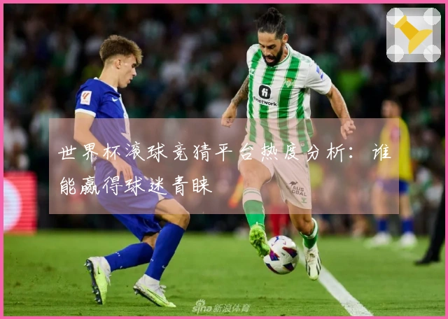世界杯滚球竞猜平台热度分析：谁能赢得球迷青睐