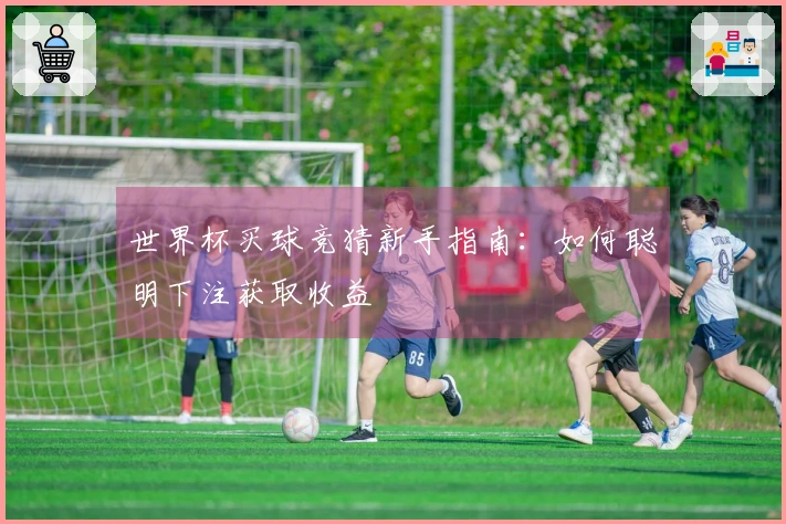 世界杯买球竞猜新手指南：如何聪明下注获取收益