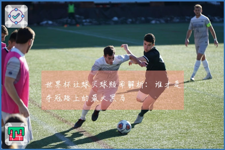 世界杯让球买球赔率解析：谁才是夺冠路上的最大黑马