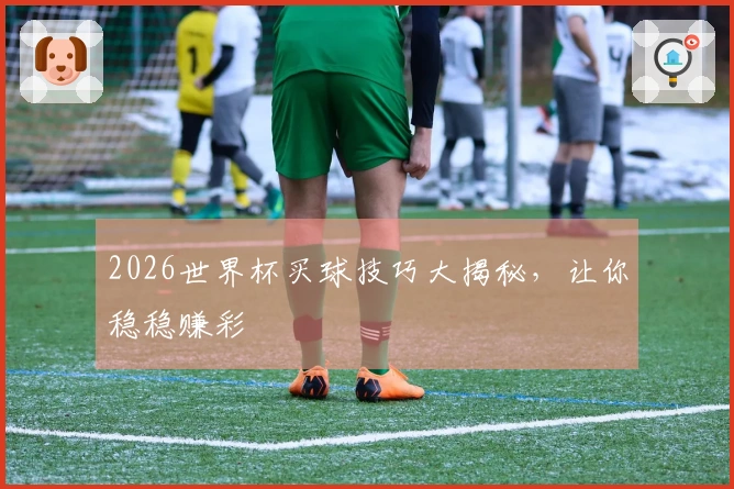 2026世界杯买球技巧大揭秘,让你稳稳赚彩