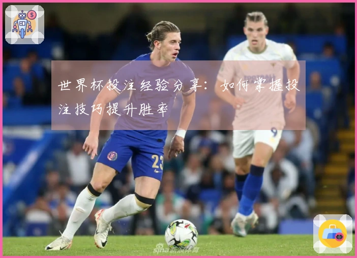 世界杯投注经验分享：如何掌握投注技巧提升胜率
