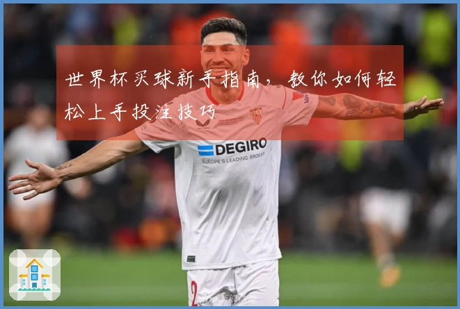 世界杯买球新手指南，教你如何轻松上手投注技巧