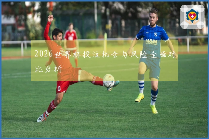2026世界杯投注机会与风险全面对比分析