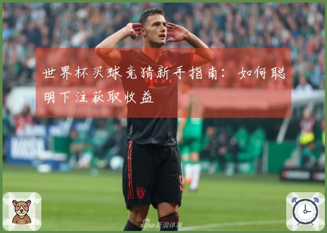 世界杯买球竞猜新手指南：如何聪明下注获取收益